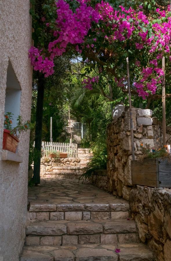 Natural Reserve Apartment Zichron Ja’akow Exterior foto