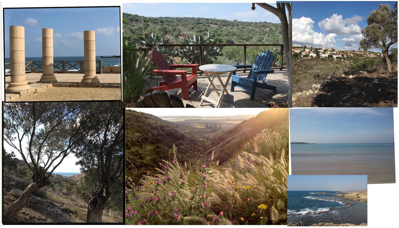 Natural Reserve Apartment Zichron Ja’akow Exterior foto